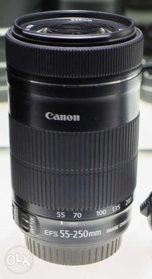 Canon EFs STM lens