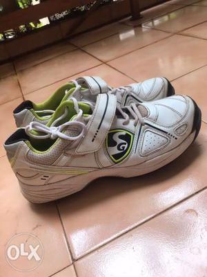 Cricket Shoes in a good condition for sale. Shoe size 9
