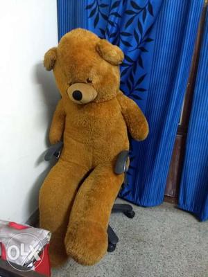 Teddy bear, 5 ft, just 6 months old, original