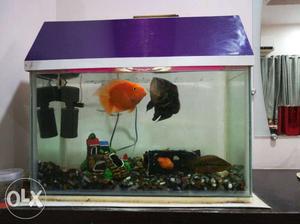 2x1x1.5 foot aquarium with fish & all accessories