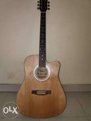 Acoustic Guitar with guitar cover.