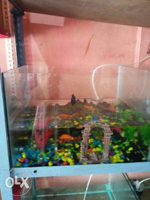 An aquarium tank decorated