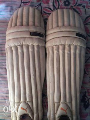 Batting pad puma brand