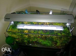 Brand new T5 light (Hopar) 48 w for Aquarium