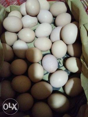 Egg Lot In Kottakal
