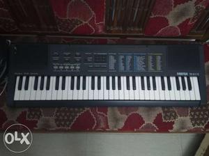 Farfisa Italian New Casio.