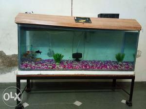 Fish tank 4.5 fut.. I want to sale