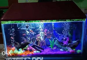 Fish tank sale very good condition with all