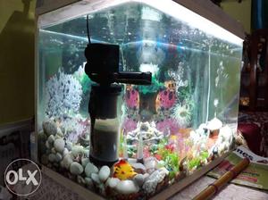 Good condition Aquarium 2 ft. 1.5 ft.