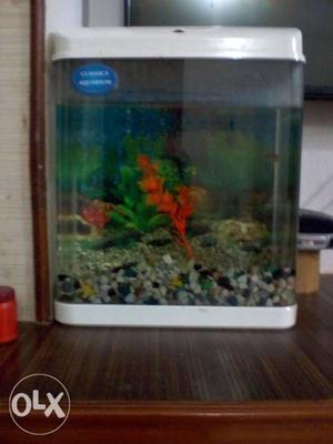 Good condition aquarium from pulivendula