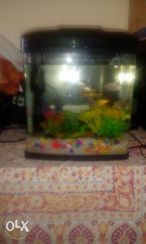 Newly bought aquarium..selling due to transfer