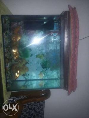 Only tank for sell nice condition