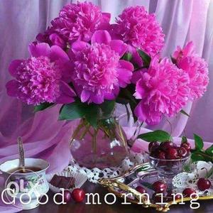 Pink Carnation Flower With Good Morning Text Overlay