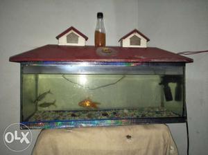Rectangular Fish Tank With Red Wooden Frame