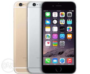 Apple New Iphone 6 16gb in all colors