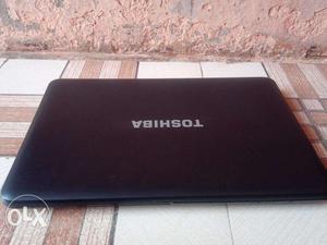 Toshiba New laptop fully working very beautiful.