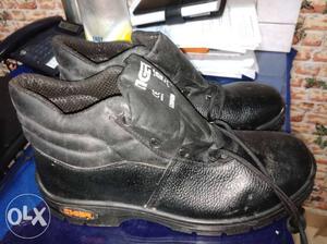 Pair Of Black Tiger - size (11), totally new