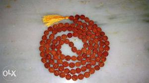 Real Rudraksha 100% free delivery. (wholesaler) Haridwar