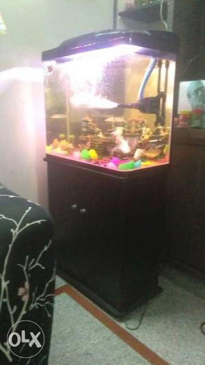 2.5 feet imported fish tank with stand,