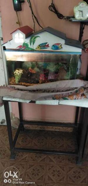 2.5 ft fully Metal table with 15 days used fish tank & All