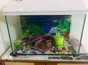 2 feet fish tank with marbles, filter, oxygen