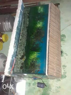 3 ft fish tank with stand with water filter machine