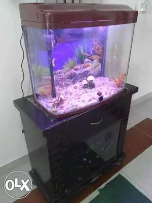 6 month old aquarium with all accessories