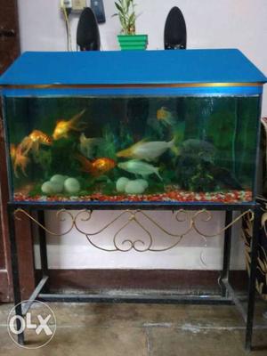 Aquarium 3.5 ft excellent condition, with stand
