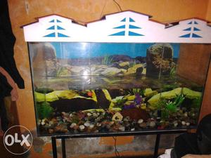 Aquarium Tank with stand