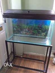 Aquarium fish tank for sell