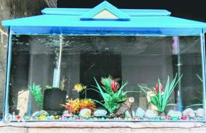 Aquarium full set under rs 