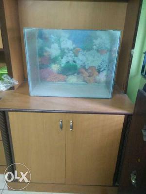 Beautiful fish tank. With white pebbles. Reason: