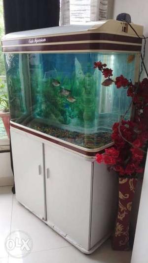 Big size Aquarium with cabinet