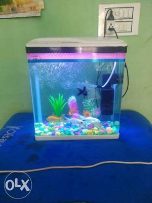 Blue And White Fish Tank