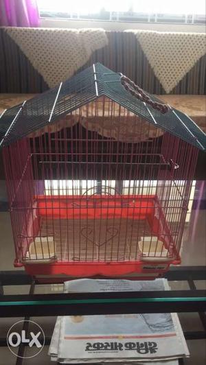Blue and Pink Bird Cage