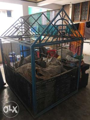 Dog cage for sale 6x4 feet