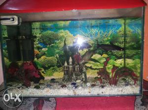 Fish Aquarium With 3 Fishes, Water Filter, Bubble