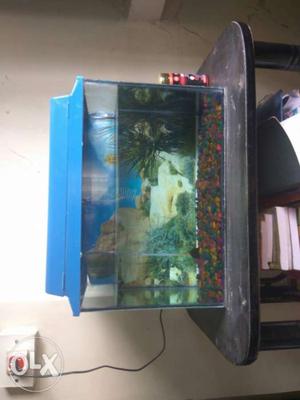 Fish Tank With Accessories| You can Bargain if you really