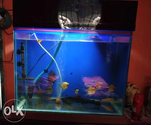 Fish Tank aquarium 2 fit new
