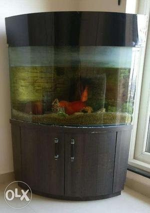 Fish Tank with Storage