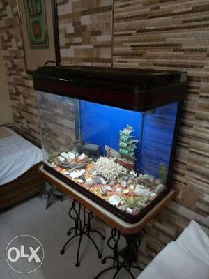 Fish equrium. excellent condition. imported