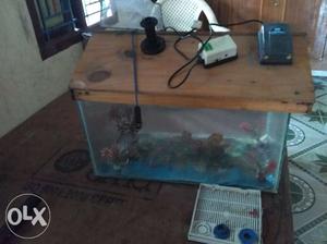 Fish tank with Moyer fish net fish tank stones