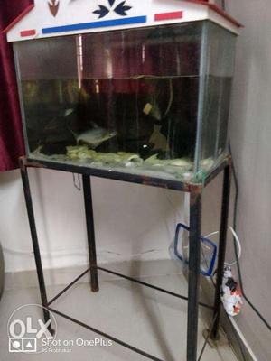 Fish tank with all the necessary equipments