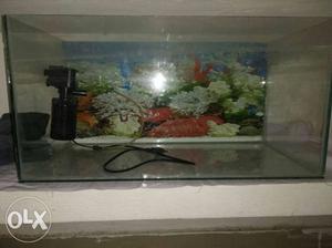 I Want to Sell My Aquarium with Marbles and Water