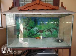 I want sell my aquarium good condition no damages