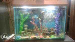 I want to sell my aquarium with all equiments