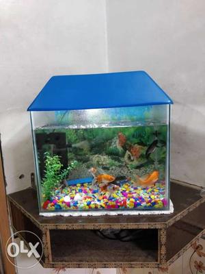 I want to sell my fish aquarium