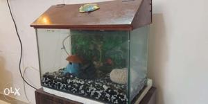 Its an aquarium 6 months old with water motor and