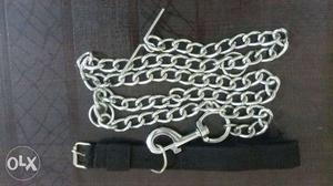 Neack belt and chain for dogs