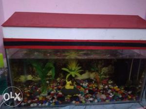 New aquarium with all installed features.